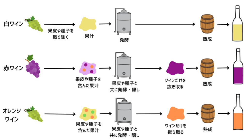 白ワイン、赤ワイン、オレンジワイン の醸造工程