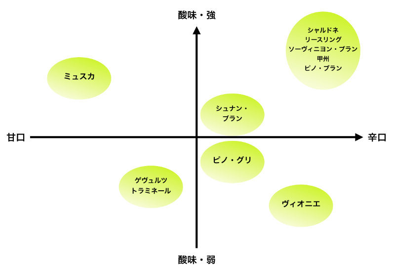 白ワイン用ブドウ品種ごとに、味わいの特徴を区分した図